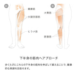 カモレグ2.0(KAMOLEG 2.0) アッシュグレイ(ASH GRAY) アンドメディカル(&MEDICAL) フィットネス ルームシューズ スリッパ