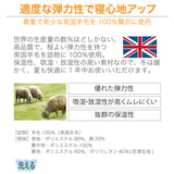 フランスベッド らくピタ 羊毛 ベッドパッドII SD セミ ダブル 敷きパッド 036031261 france bed