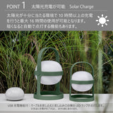 【テラコッタ】ソフトスポットソーラー サーキュラー 25cm/18cm ROSENDAHL ローゼンダール