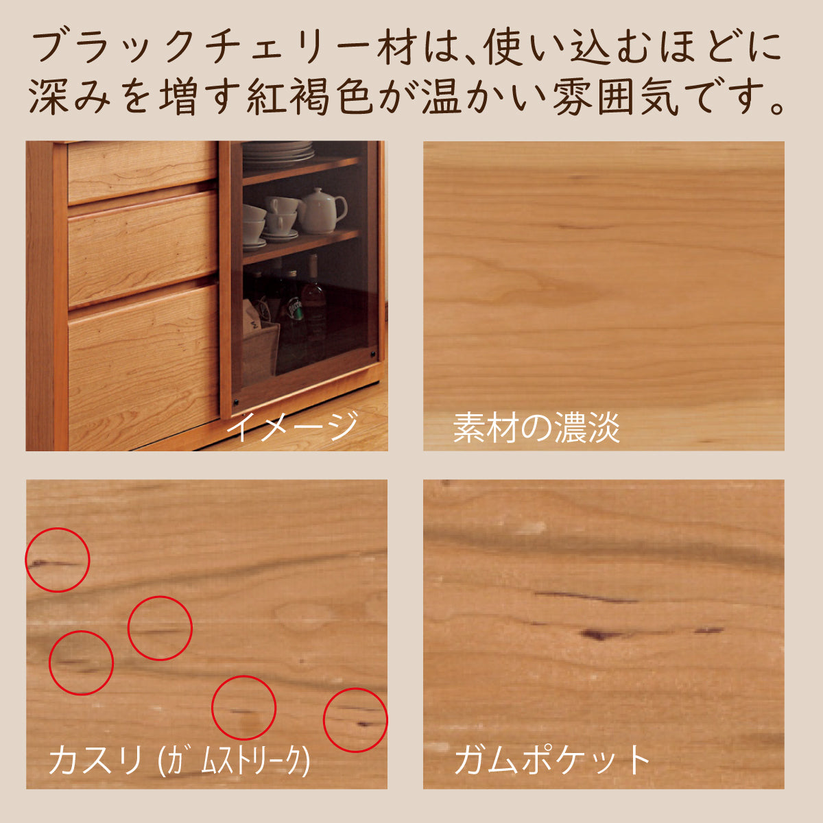 karimokutokuyaku_tu0107000_13_