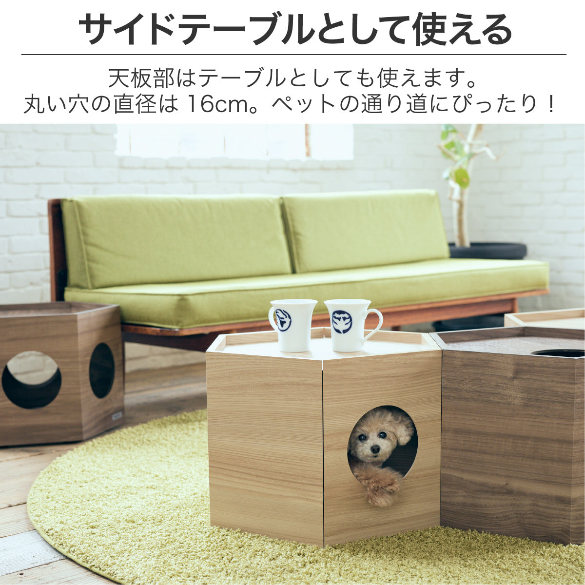 pe03_1_1200x.jpg?v=1645434572