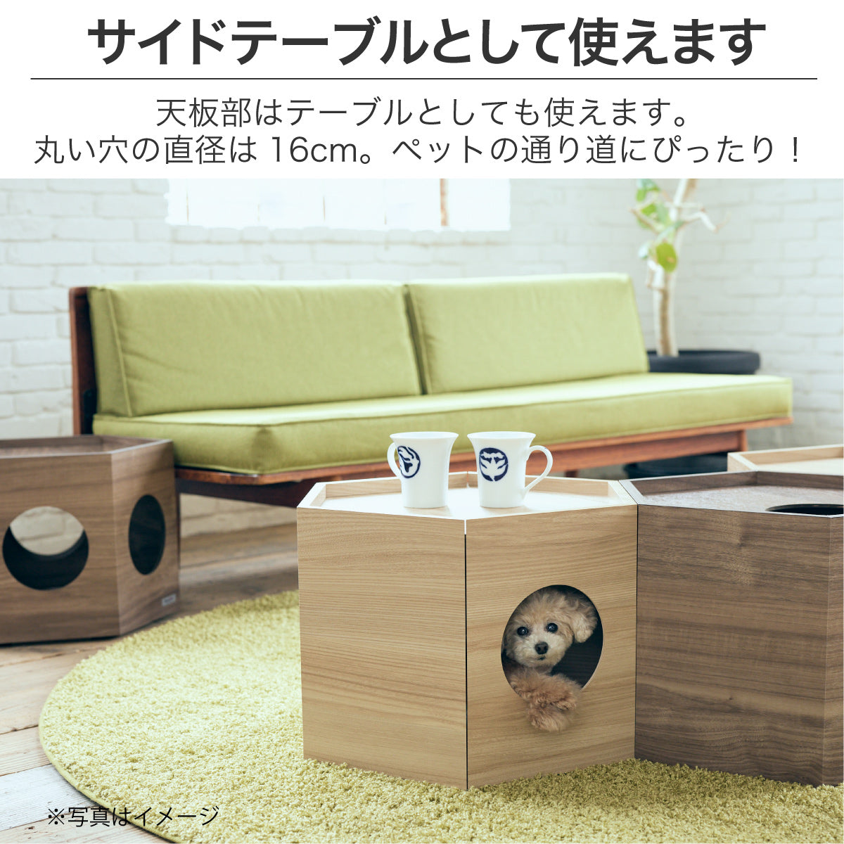 フランスペット PE03 ペットハウス ヘキサ 【3個セット】キャット